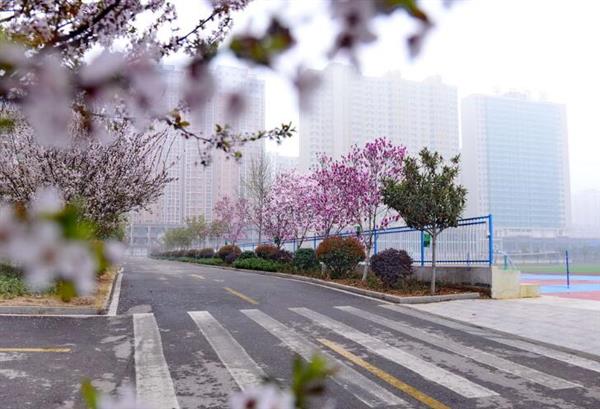 河北大學新世紀函授站成人高考輔導班怎么樣？